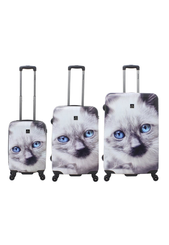 Saxoline White Cat Printed Hard Suitcase / Trolley / Travel Suitcase - (Set/S/M/L)