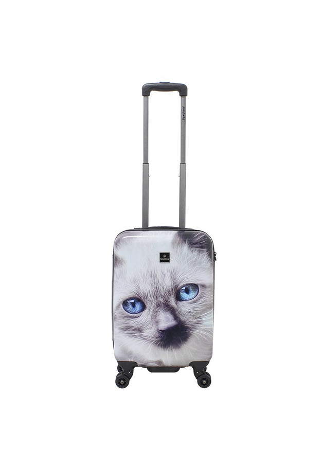 Saxoline White Cat Printed Hard Suitcase / Trolley / Travel Suitcase - (Set/S/M/L)