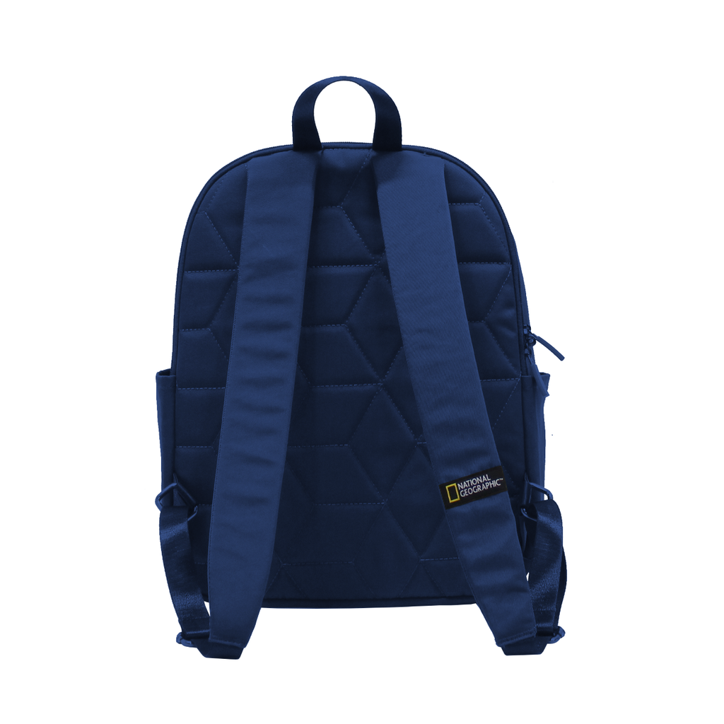 National Geographic  Academy School Backpack / Laptop Backpack - N13911